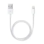 Câble Lightning Apple ME291ZM/A 50 cm Blanc de Apple, Câbles Lighting - Réf : S8101576, Prix : 19,80 €, Remise : %