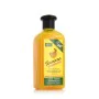 Champô Nutritivo Xpel Banana (400 ml) de Xpel, Champôs - Ref: S8306331, Preço: 3,06 €, Desconto: %