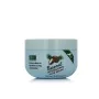 Máscara Hidratante Xpel Coconut 250 ml Coco de Xpel, Máscaras - Ref: S8313883, Preço: 4,05 €, Desconto: %