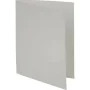 Sous-dossier Exacompta Forever Gris A4 100 Pièces de Exacompta, Dossiers - Réf : S8406139, Prix : 21,50 €, Remise : %