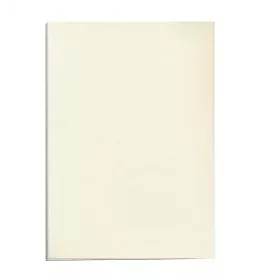 Binding covers Fellowes 5370004 100 Units Ivory A4 Cardboard by Fellowes, Binding Covers - Ref: S8407240, Price: 16,29 €, Dis...