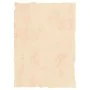 Pergamentpapier Michel Beige A4 25 Stücke von Michel, Vellum - Ref: S8412827, Preis: 13,01 €, Rabatt: %