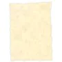 Papel pergamino Michel Topacio A4 25 Piezas de Michel, Papel pergamino - Ref: S8412830, Precio: 11,69 €, Descuento: %