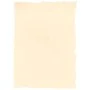 Papel pergamino Michel A4 25 Piezas de Michel, Papel pergamino - Ref: S8412832, Precio: 17,63 €, Descuento: %