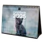 Calendrier de bureau Finocam GATITOS ENTRAÑABLES Multicouleur Papier 21 x 15 cm 2025 de Finocam, Calendriers de bureau - Réf ...