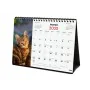 Calendario da Tavolo Finocam GATITOS ENTRAÑABLES Multicolore Carta 21 x 15 cm 2025 di Finocam, Calendari da tavolo - Rif: S84...