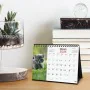 Desktop Calendar Finocam GATITOS ENTRAÑABLES Multicolour Paper 21 x 15 cm 2025 by Finocam, Desktop Calendars - Ref: S8436991,...