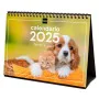 Calendario de Sobremesa Finocam PERROS Y GATOS Multicolor Papel 21 x 15 cm 2025 de Finocam, Calendarios de escritorio - Ref: ...