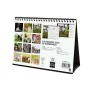 Desktop Calendar Finocam PERROS Y GATOS Multicolour Paper 21 x 15 cm 2025 by Finocam, Desktop Calendars - Ref: S8436992, Pric...