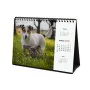 Calendário de Mesa Finocam PERROS Y GATOS Multicolor Papel 21 x 15 cm 2025 de Finocam, Calendários de secretária - Ref: S8436...