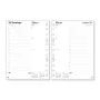 Diary Refill Finocam MULTIFIN 3002 2025 15,5 x 21,5 cm by Finocam, Planner Refills - Ref: S8437481, Price: 14,06 €, Discount: %