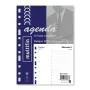 Diary Refill Finocam MULTIFIN 3002 2025 15,5 x 21,5 cm by Finocam, Planner Refills - Ref: S8437481, Price: 14,06 €, Discount: %