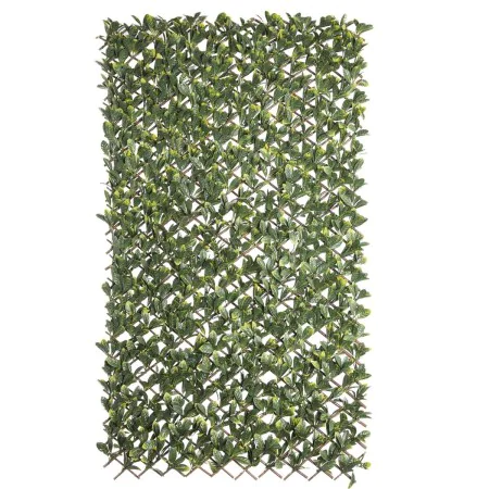 Gelosia Natural Laurel vime Bambu 2 x 200 x 100 cm de BigBuy Garden, Valas decorativas - Ref: S8700468, Preço: 74,00 €, Desco...