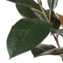 Plante décorative PVC Fer Ficus 49 x 45 x 125 cm de BigBuy Home, Plantes artificielles - Réf : S8800353, Prix : 54,18 €, Remi...