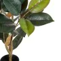 Plante décorative PVC Fer Ficus 49 x 45 x 125 cm de BigBuy Home, Plantes artificielles - Réf : S8800353, Prix : 54,18 €, Remi...